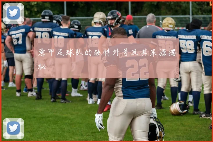 意甲足球队的独特外号及其来源揭秘