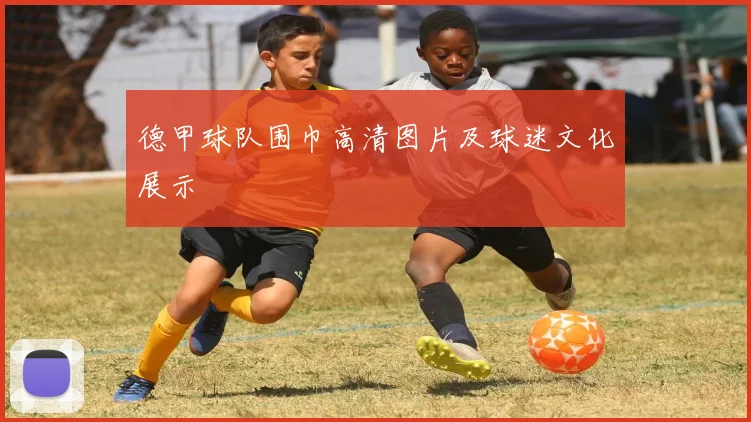 德甲球队围巾高清图片及球迷文化展示