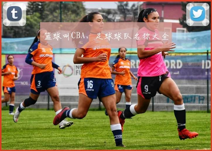 篮球叫CBA，足球球队名称大全