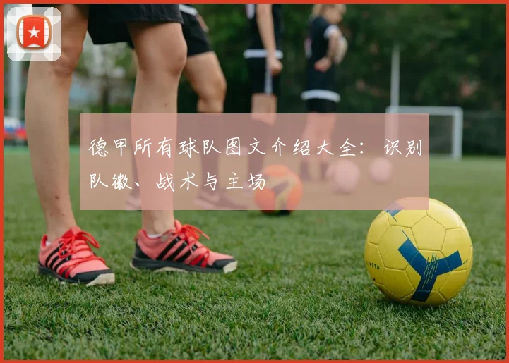 德甲所有球队图文介绍大全：识别队徽、战术与主场