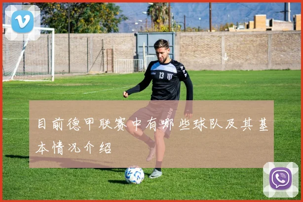 目前德甲联赛中有哪些球队及其基本情况介绍