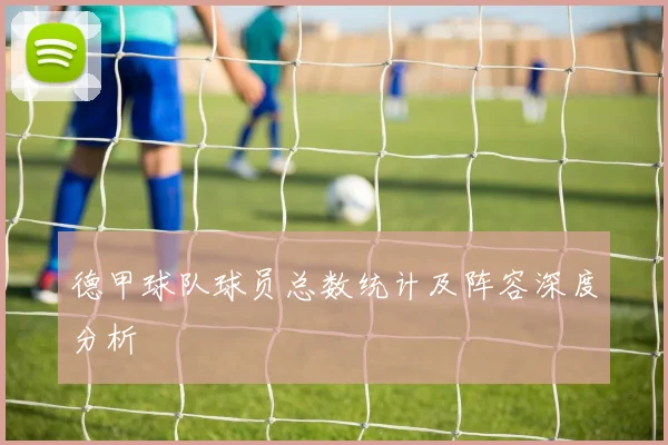德甲球队球员总数统计及阵容深度分析