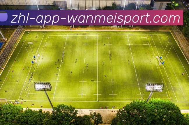 完美体育APP 高清赛事图