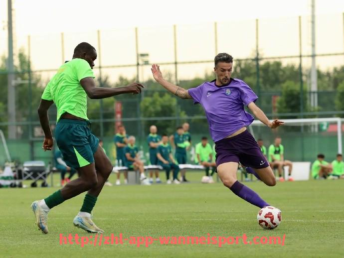 完美体育官方入口-德甲目前共多少支甲级球队参赛？官方数据说明